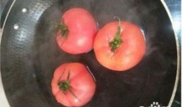 怎样做番茄酱视频教程,跟随视频教程学做美味酱料