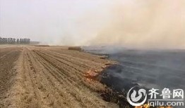 平顶山小麦着火视频,平顶山小麦火灾现场紧急救援纪实