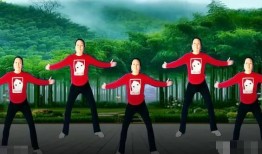 问情舞蹈视频,问情舞蹈视频魅力解析