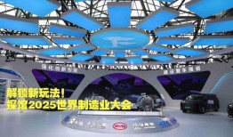 图片区视频区,图片与视频的完美融合之旅