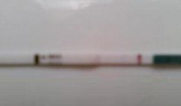 试孕纸怎么用视频,视频教学，轻松掌握怀孕检测方法