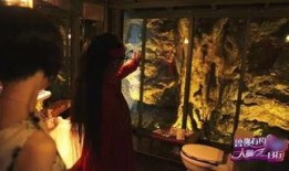 杨丽萍的月亮宫视频,探寻舞蹈艺术与自然和谐共生的神秘之旅