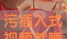 后式进入视频,探索创新视频生成技术