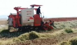 最先进葵花收割机视频,最先进葵花收割机震撼亮相