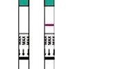 试孕纸怎么用视频,视频教学，轻松掌握怀孕检测方法
