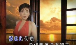 酒廊情歌全部歌曲视频,旋律中的情感旅程