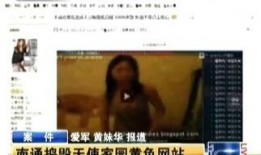 桃色视频在线观看,在线观看背后的真相与风险