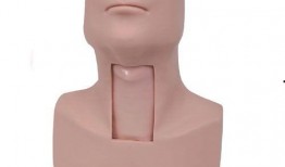 环甲膜切开术视频,环甲膜切开术操作步骤及要点解析