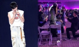 张杰求婚视频完整版,甜蜜瞬间见证爱情巅峰