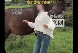 狠狠 摸在线视频,揭秘在线视频的激情瞬间