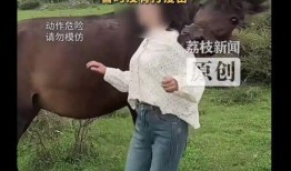 狠狠 摸在线视频,揭秘在线视频的激情瞬间