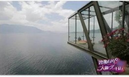 杨丽萍的月亮宫视频,探寻舞蹈艺术与自然和谐共生的神秘之旅