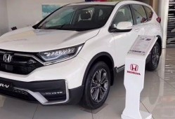 东风本田全新crv视频,性能升级与设计革新一览