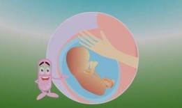 后穹窿穿刺视频,后穹窿穿刺操作步骤及要点解析