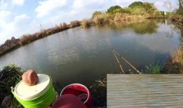 农村野钓视频,捕捉自然之美，享受宁静时光