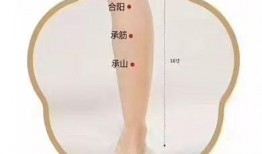 如何按摩承山视频,轻松缓解肌肉酸痛，提升健康活力