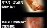 38周胎儿视频直播,直播见证生命奇迹