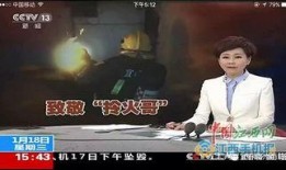 火哥视频,揭秘热门话题背后的真相与观点