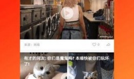 久久视频伦理,坚守伦理底线，打造清朗网络空间